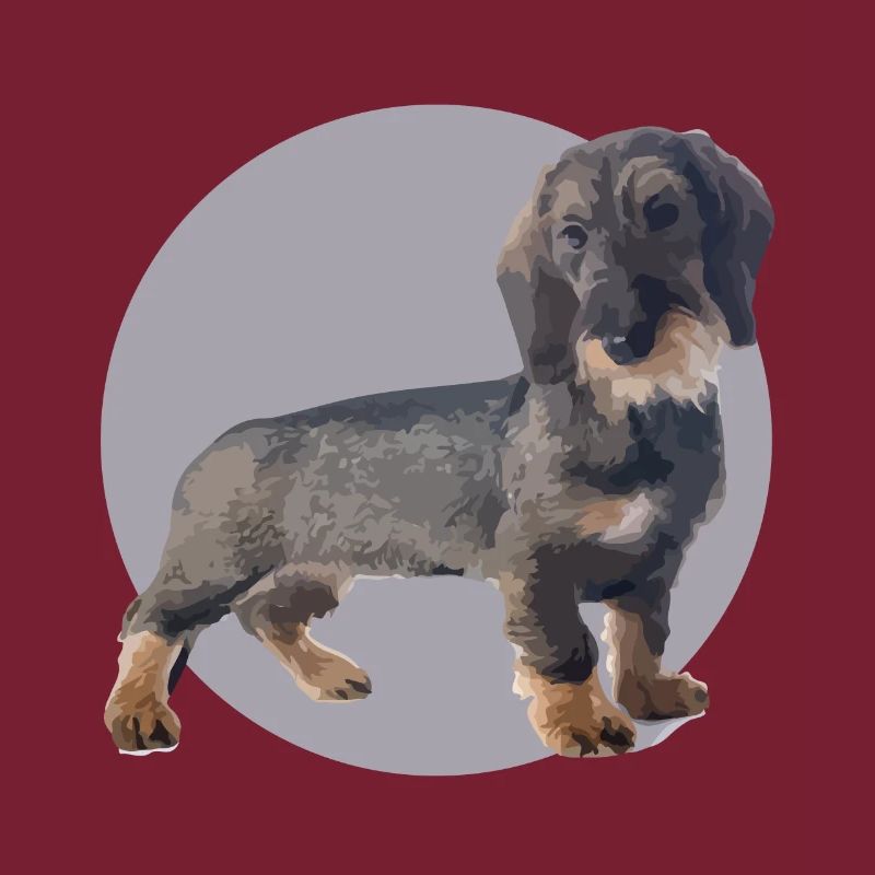 Chiot teckel