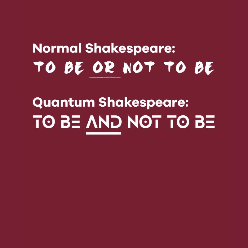 Funny Quantum Physics Quantum Computing