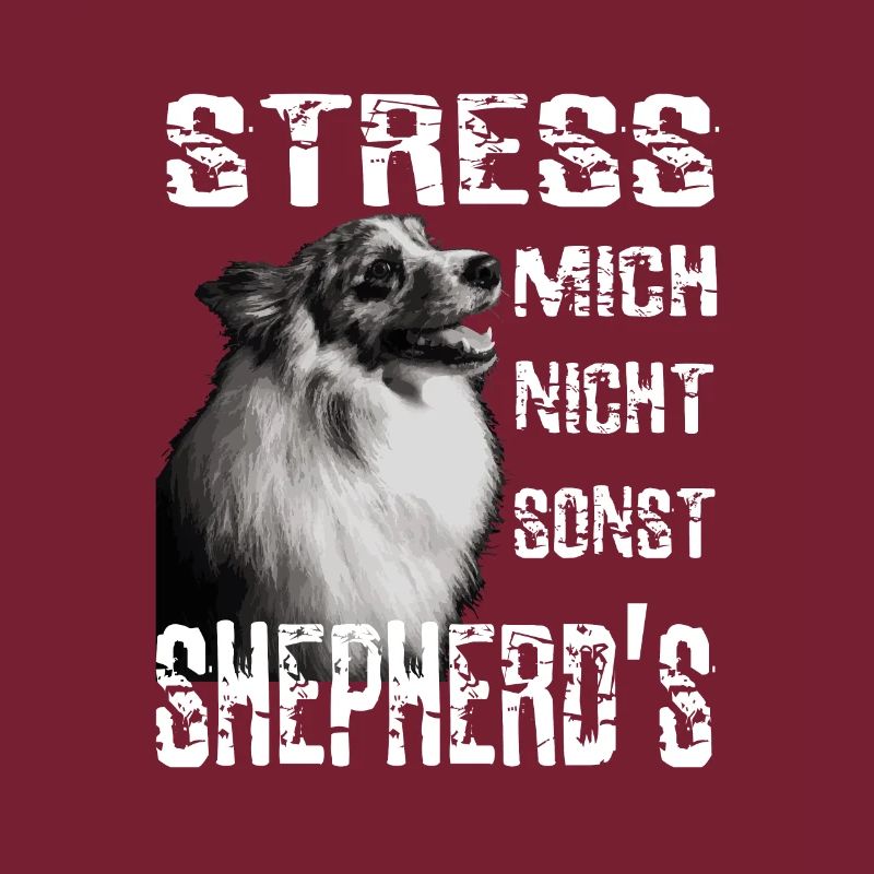 Ne me stresse pas autrement Sheperds Aussie Sheperd
