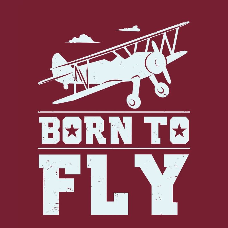 Model flight pilot gift