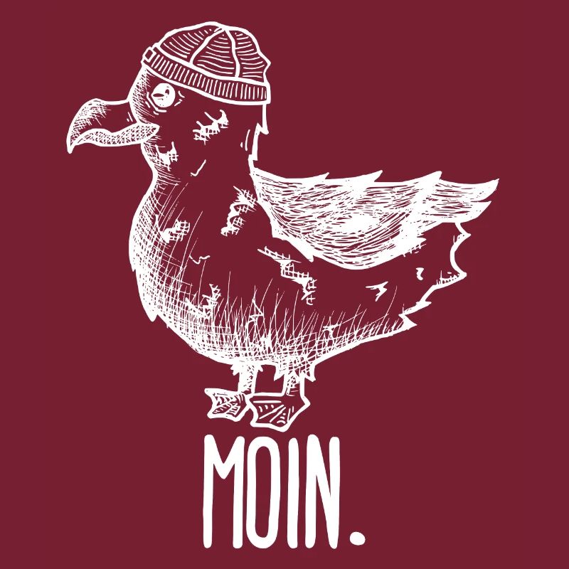 Möwe Moin