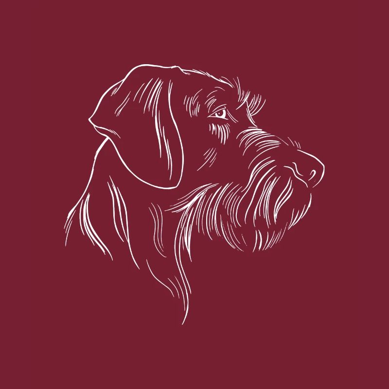 German wirehaired pointer dog head drawing