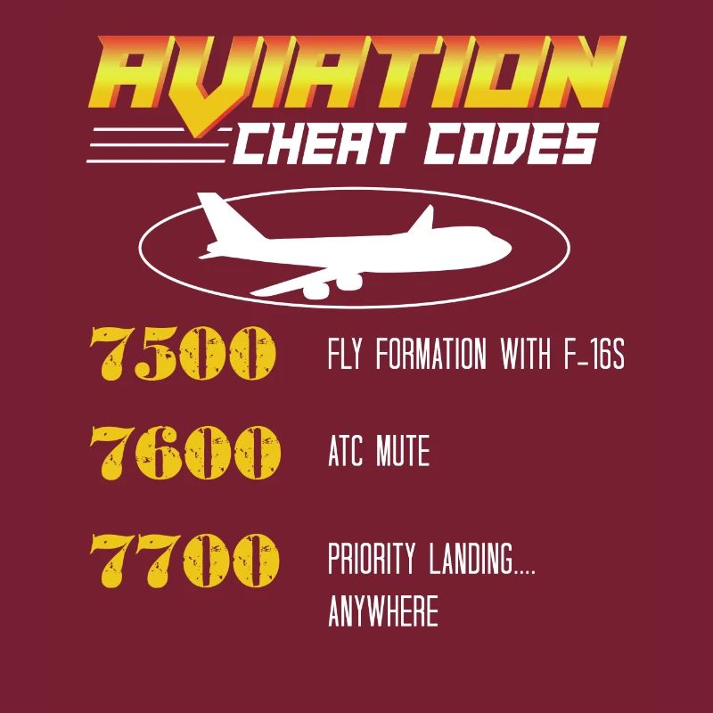 Aviation Cheat Codes gift, Aviation gift,