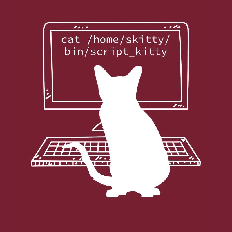 Programmierer Coder Informatiker Spaß Katzen
