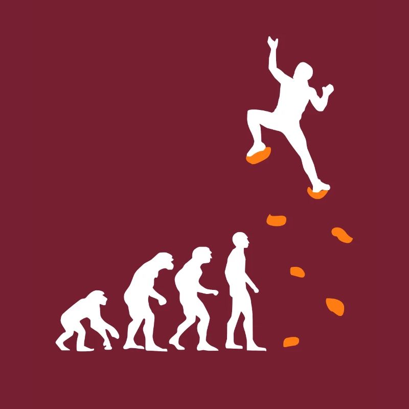 Kletter Evolution Kletterwand Klettern Bouldern