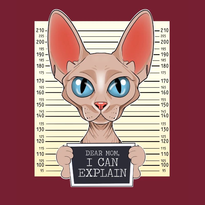 Sphynx Cat Mom - Dear Mom I Can Explain