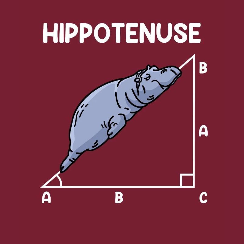 Math Hippo Professeur de mathématiques Hippotenuse