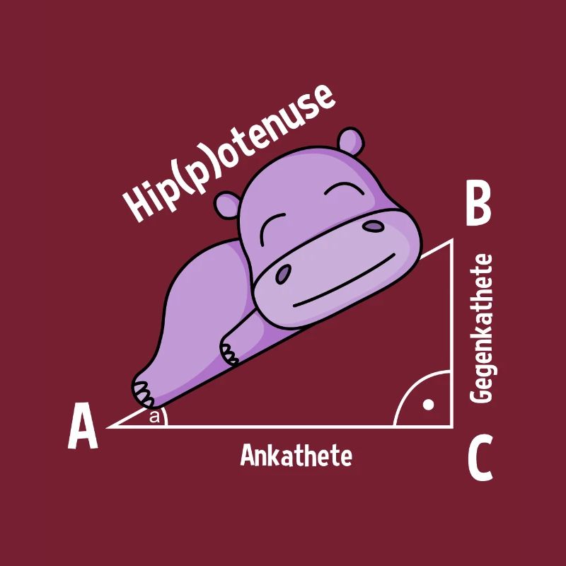 Professeur de mathématiques Hipotenuse Math