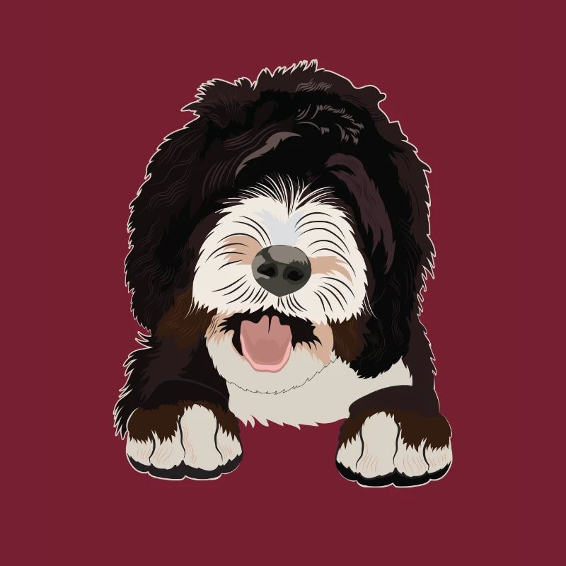 Cadeau de chien Sheepadoodle