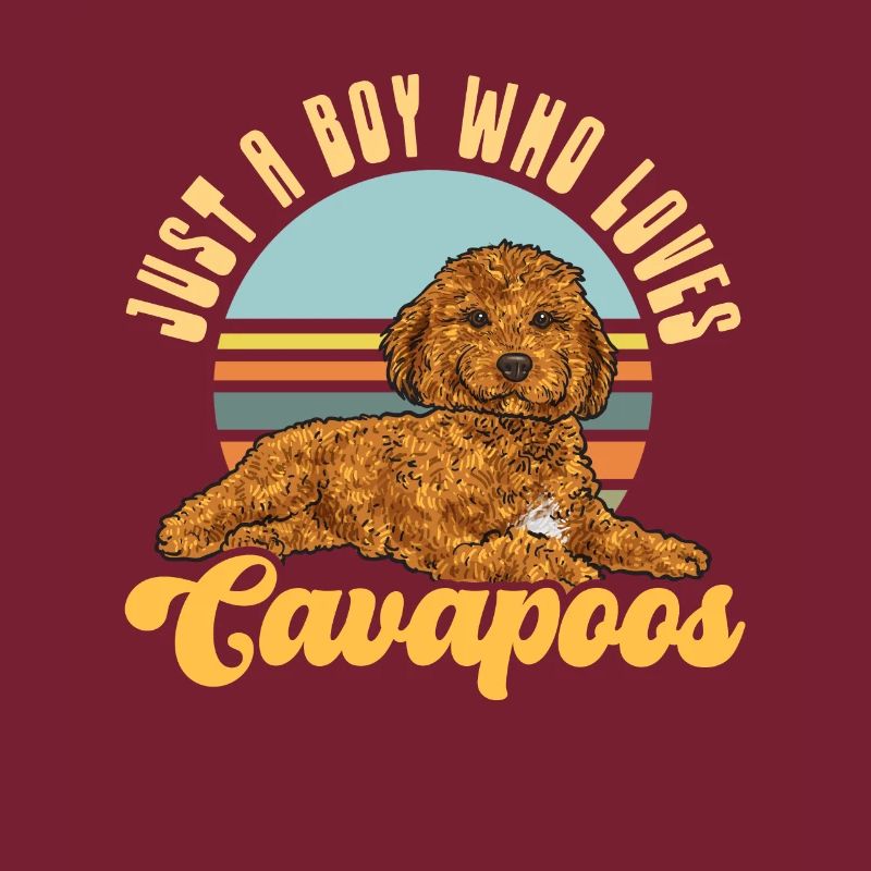 Cavapoo Cavoodle Capoodle Chien