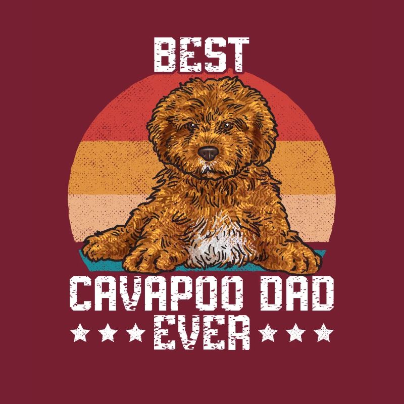Cavapoo Cavoodle Capoodle Chien