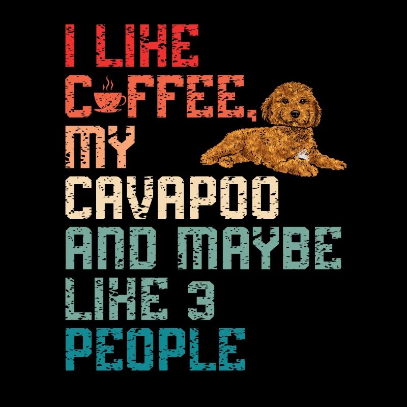 Cavapoo Cavoodle Capoodle Dog