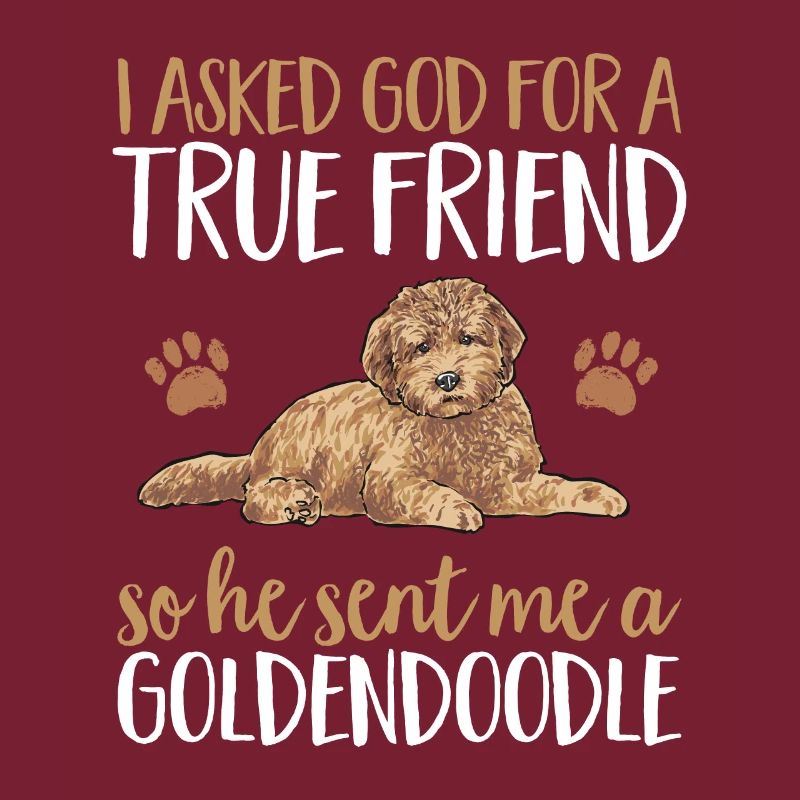 Goldendoodle Doodle Chien
