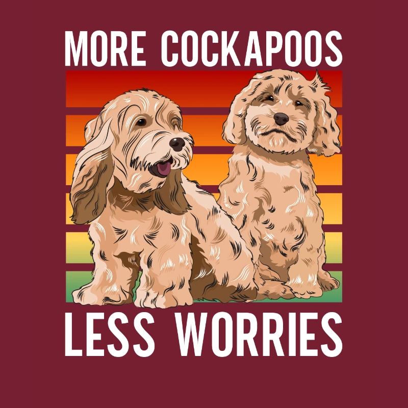 Cockapoo Chien