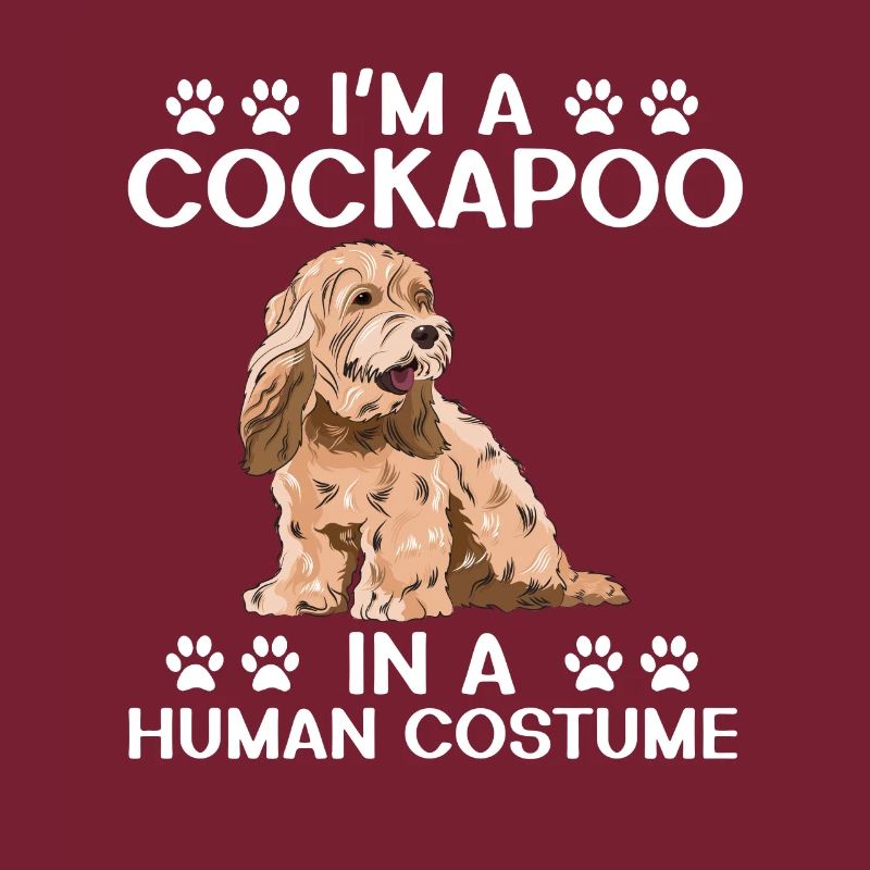 Cockapoo Chien