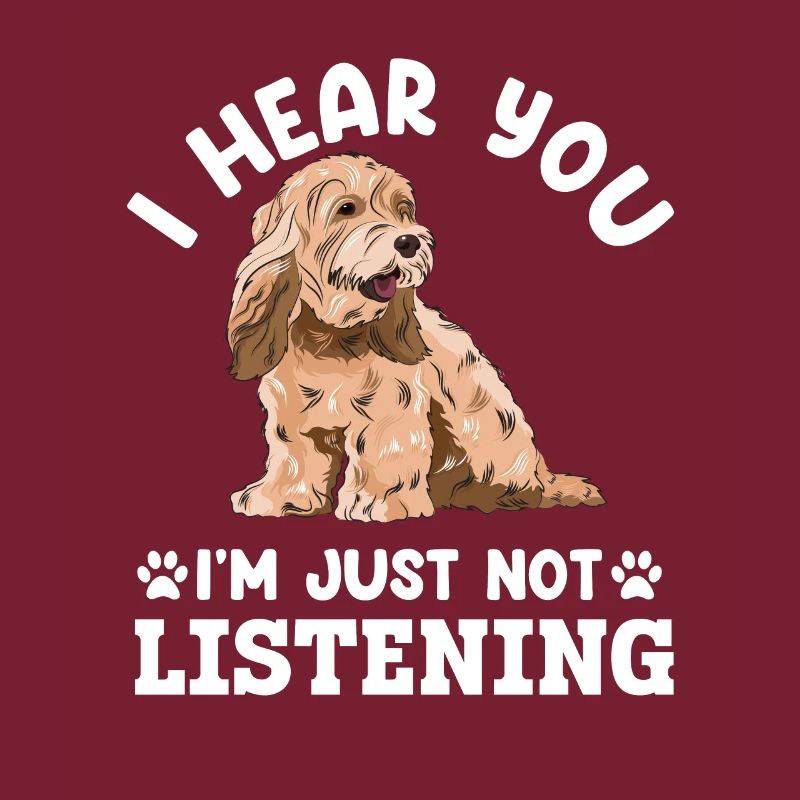 Cockapoo Chien