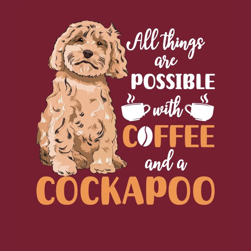 Cockapoo Chien