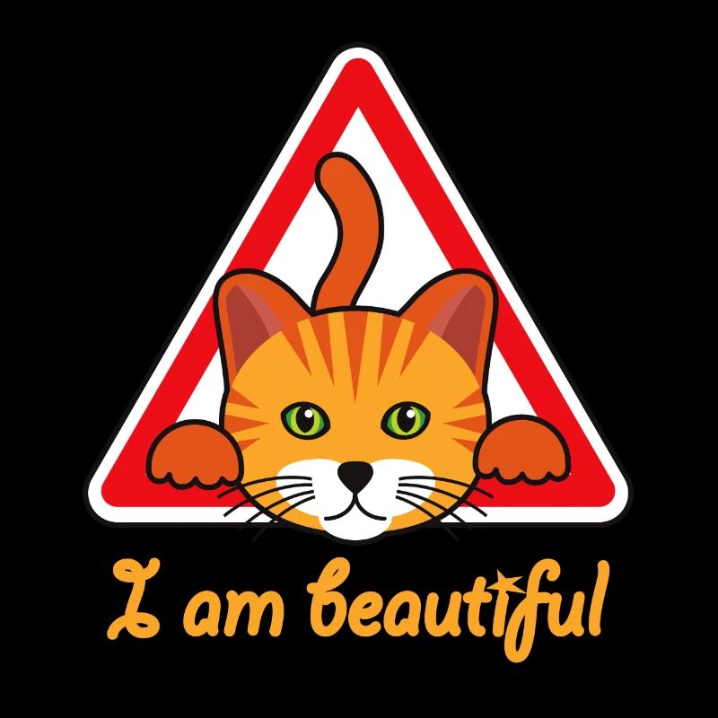 Katze - Ich bin eine wunderschöne Katze
