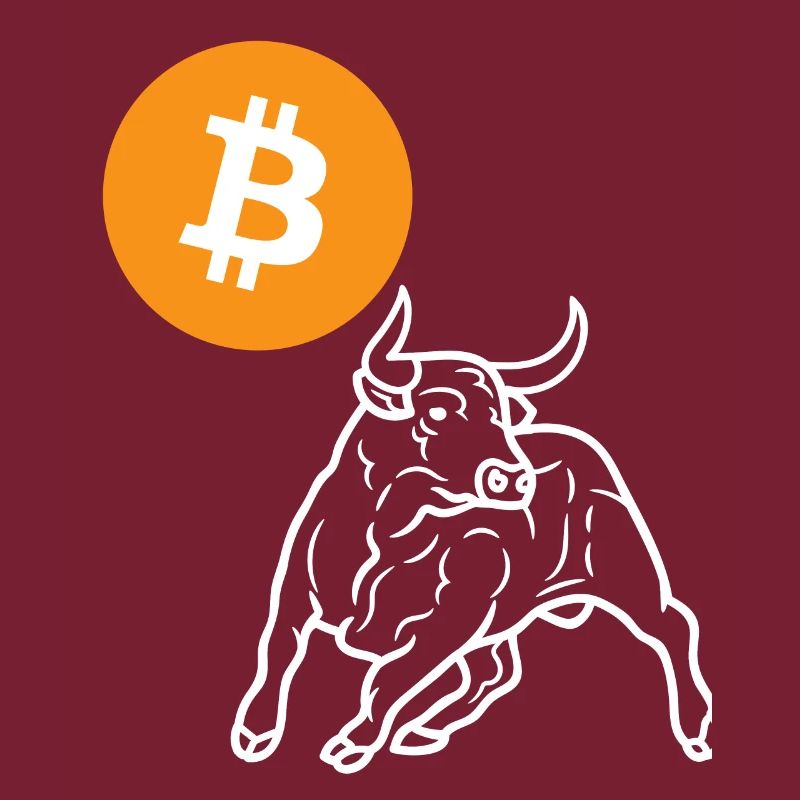 Bitcoin Bulle