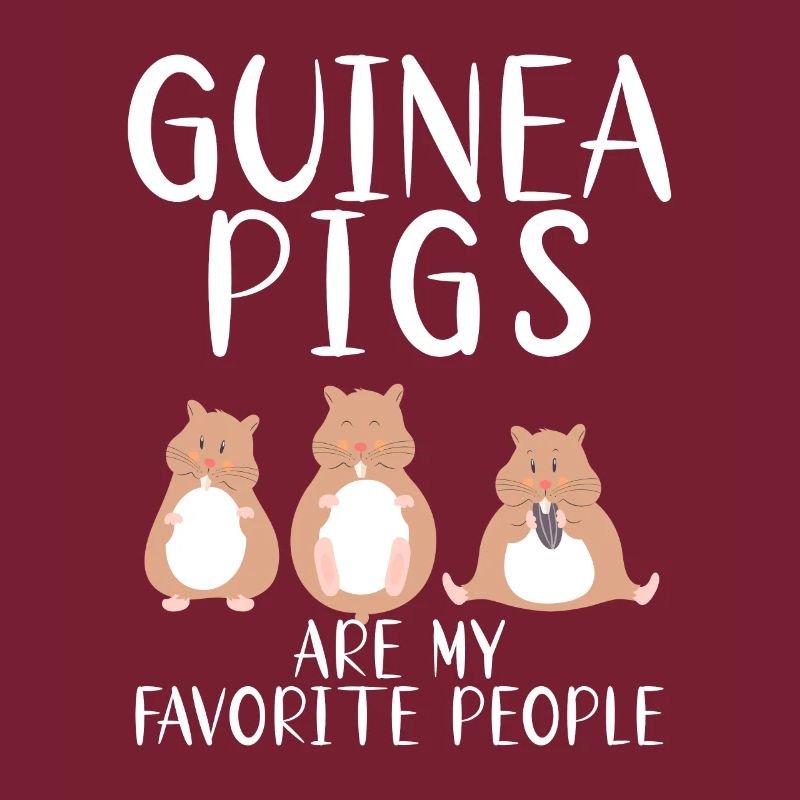 Cadeau mignon cochon d’Inde