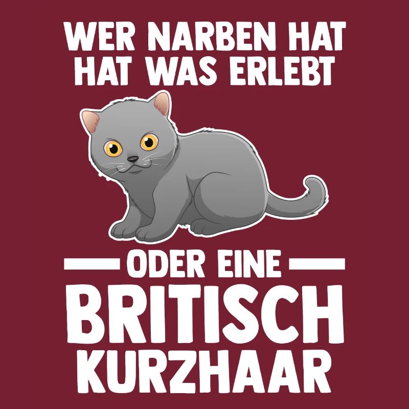 Britisch Kurzhaar Katze