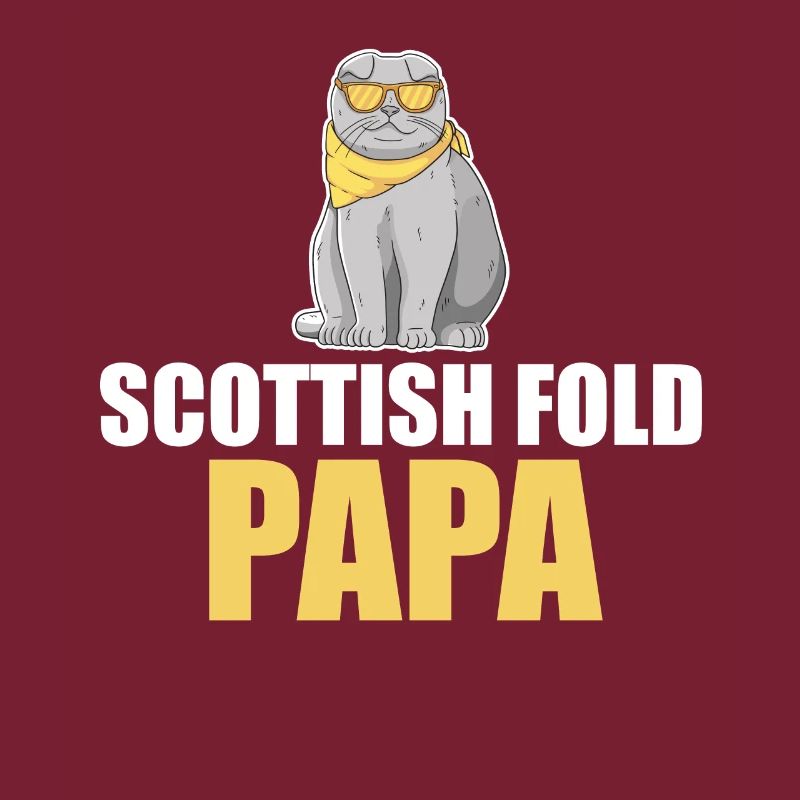 Scottish Fold Cat