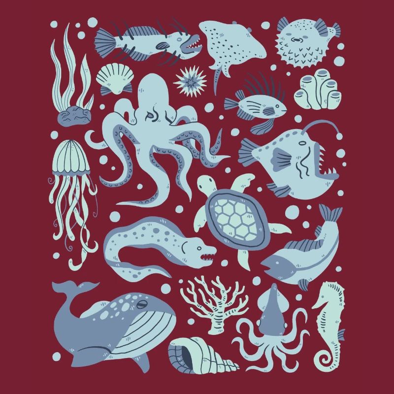 Deep Sea Fish Octopus Frogfish Lanternfish