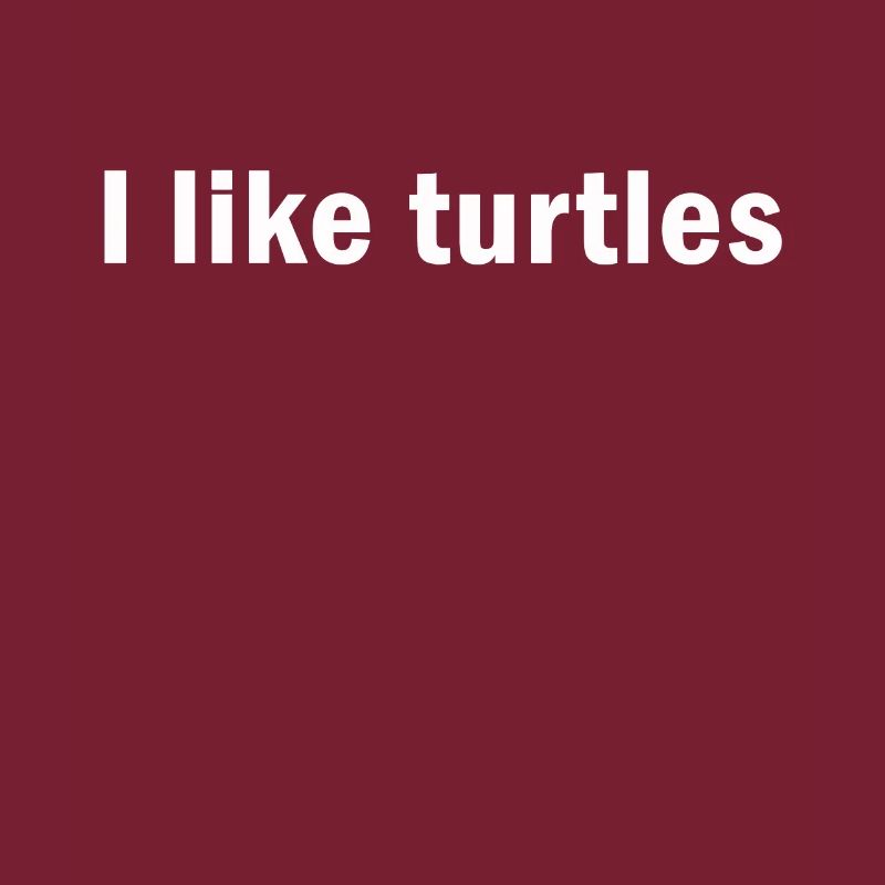 I Like Turtles Turtle