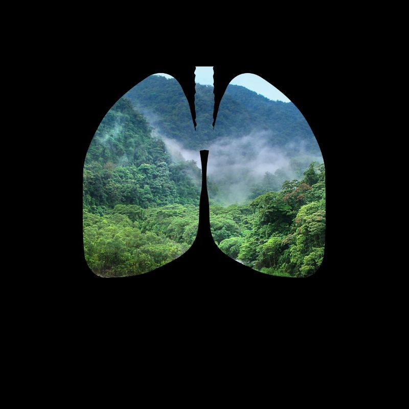 Lungs environment Nature conservation Climate change Sustainability
