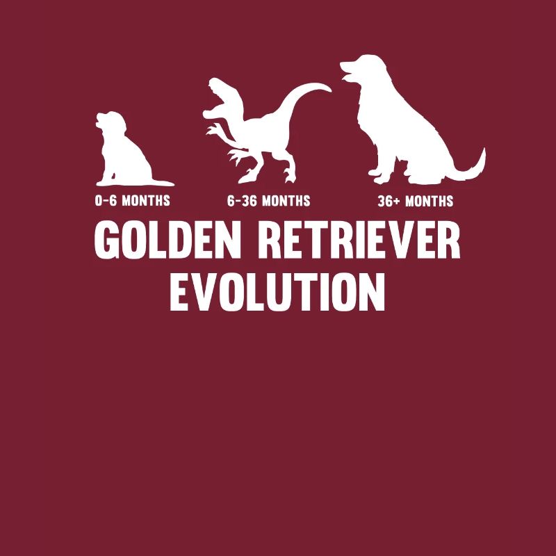 Golden Retriever Evolution pour un propriétaire de chien