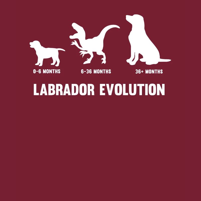 Labrador Evolution for a Labrador dog owner