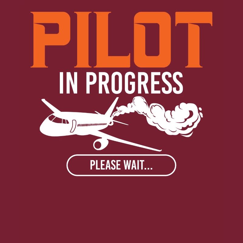 Pilot In Progress Please Wait Loading Plane