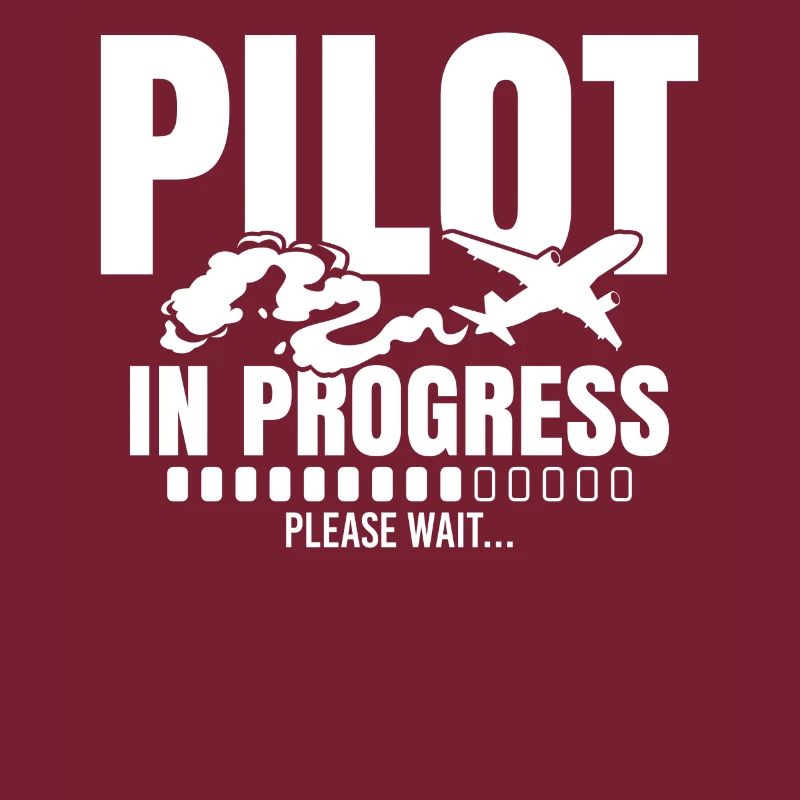 Pilot In Progress Please Wait Loading Plane