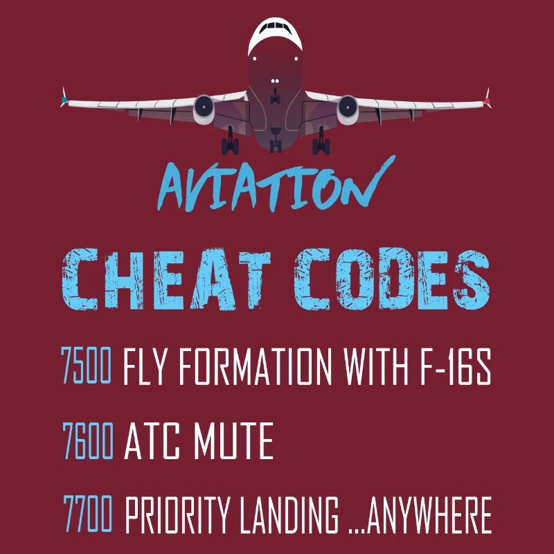 Aviation Cheat Codes