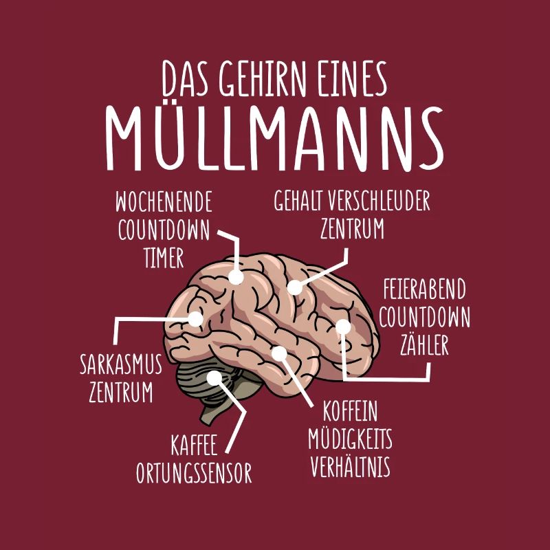 Anatomie Müllmann