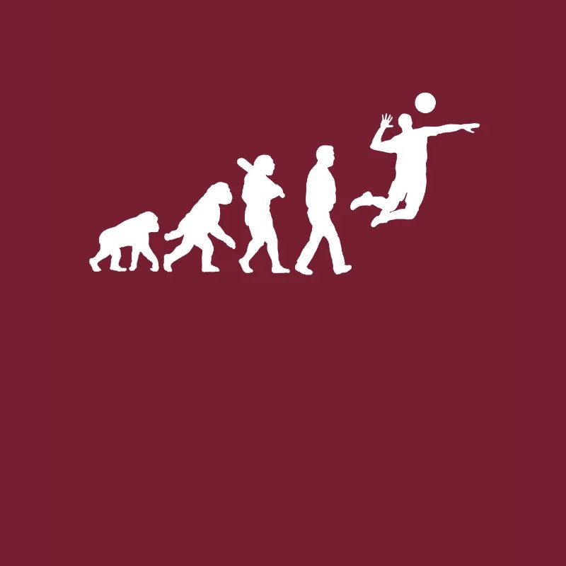 Évolution du volley-ball