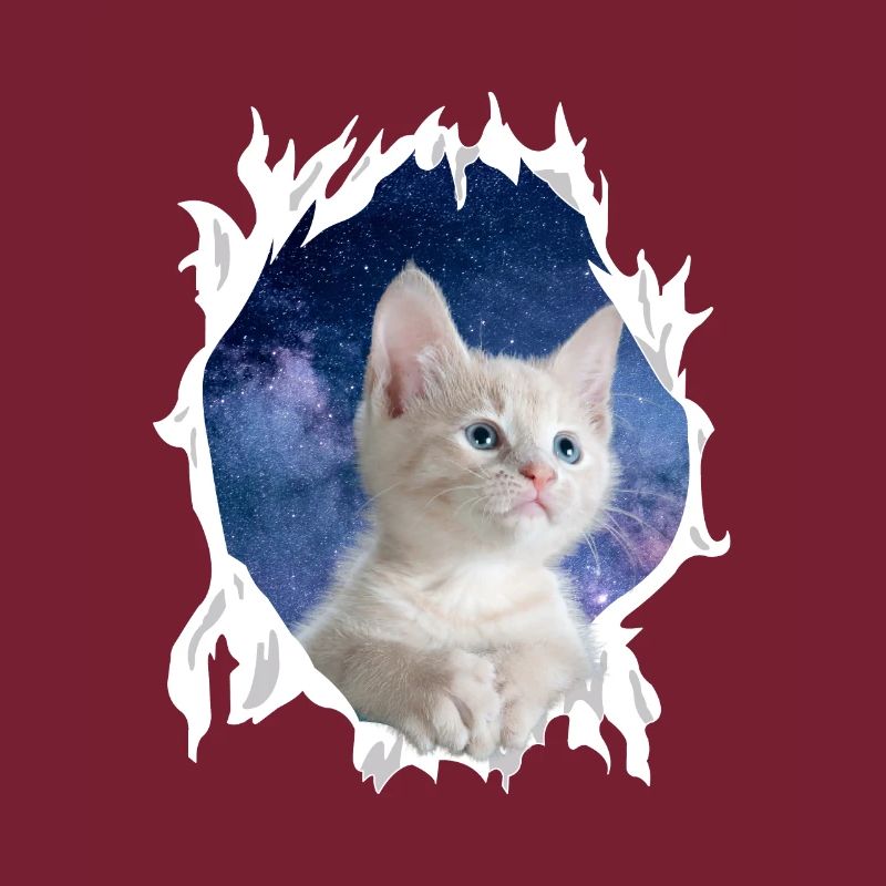 Süßes 3D Kätzchen Katze - Geschenk