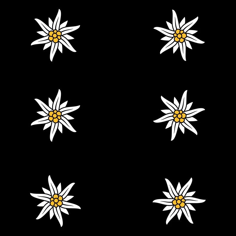 Dirndl apron Edelweiss