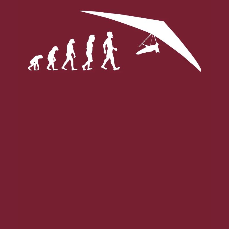 Evolution Drachenflieger Gleiter Hang Gliding