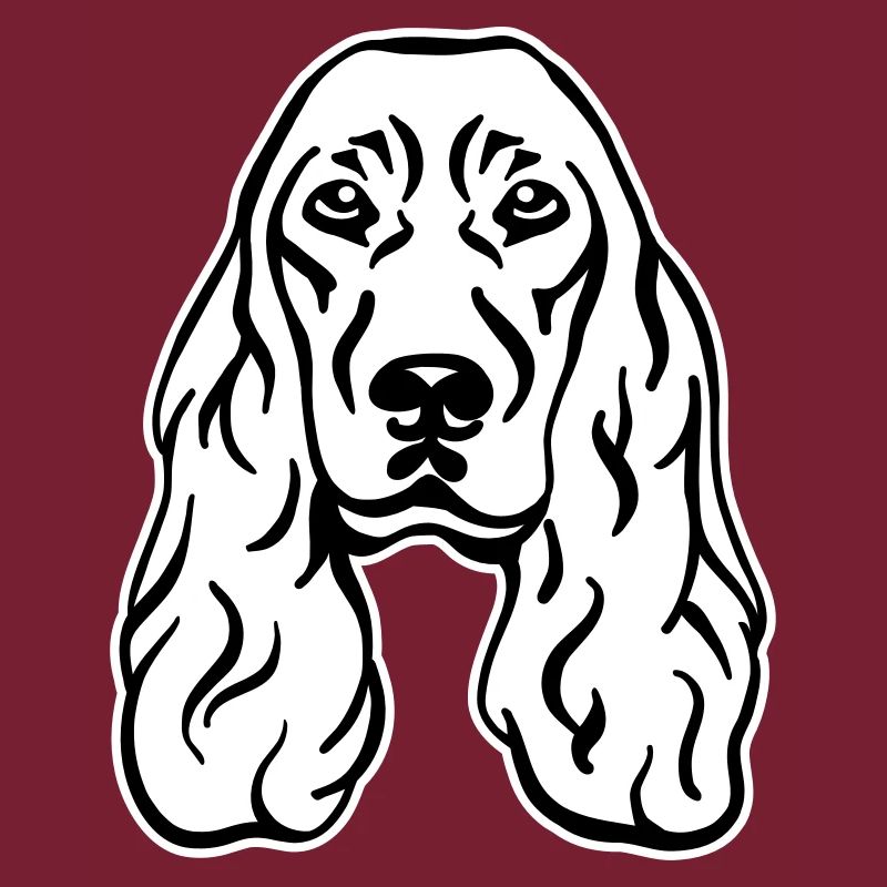 Cocker Spaniel