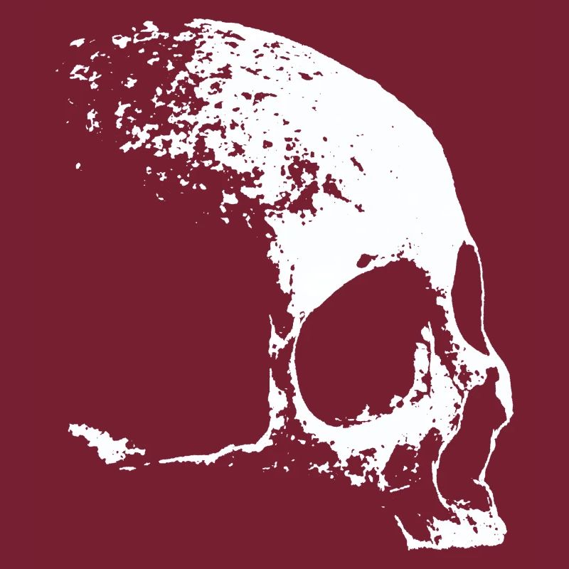 Totenkopf