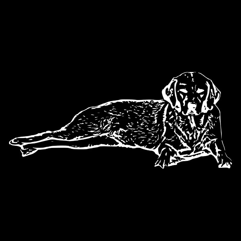 Chien blanc