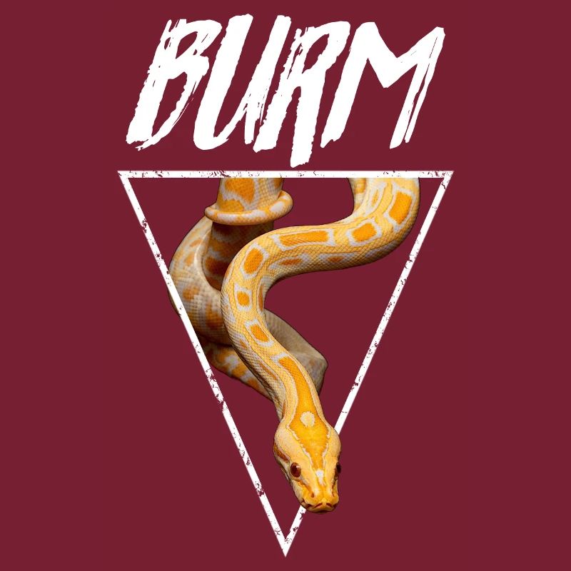 Albino Birmese Python Snake Owner