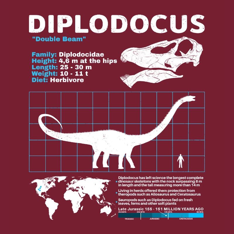 Fiche technique du Diplodocus