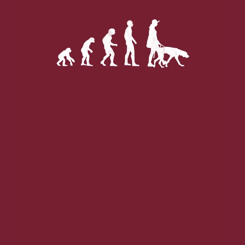 Vizsla Evolution