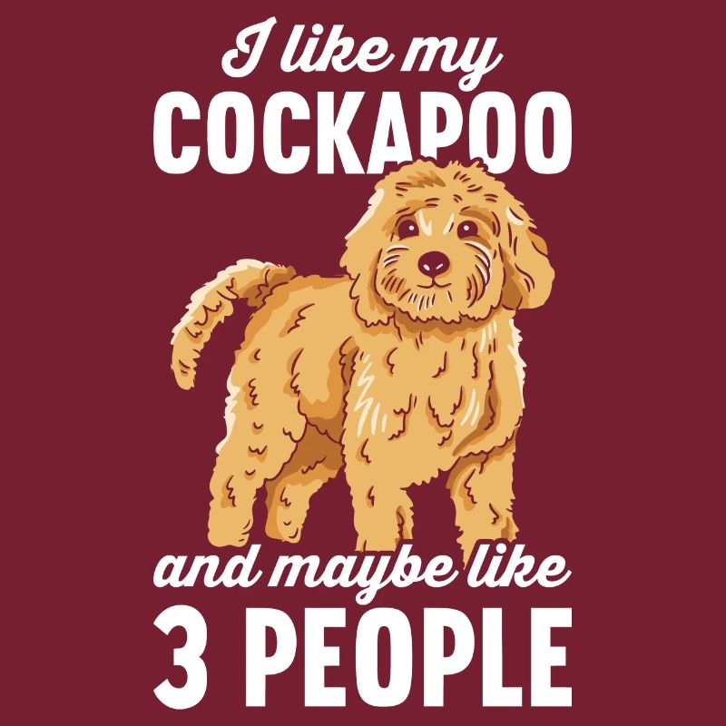 Chien Cockapoo
