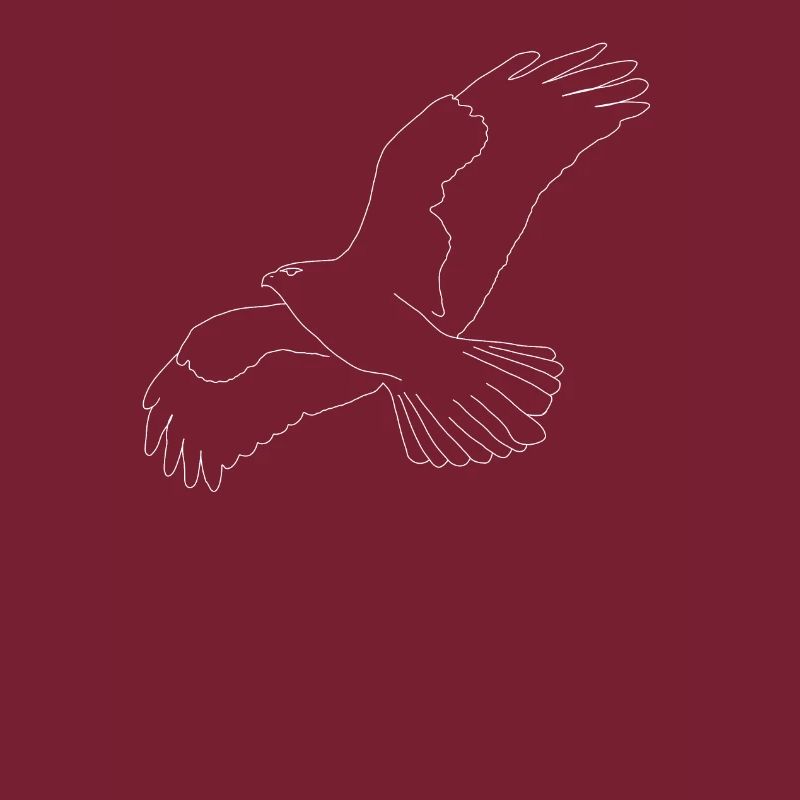 Buzzard