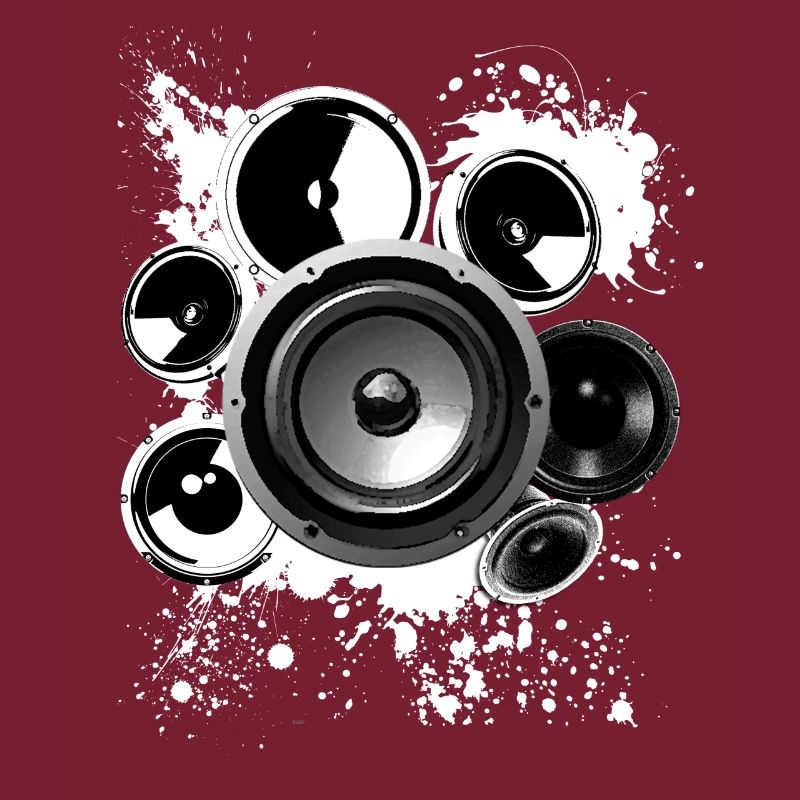 Construction haut-parleur haut-parleur Hifi classe de référence techno