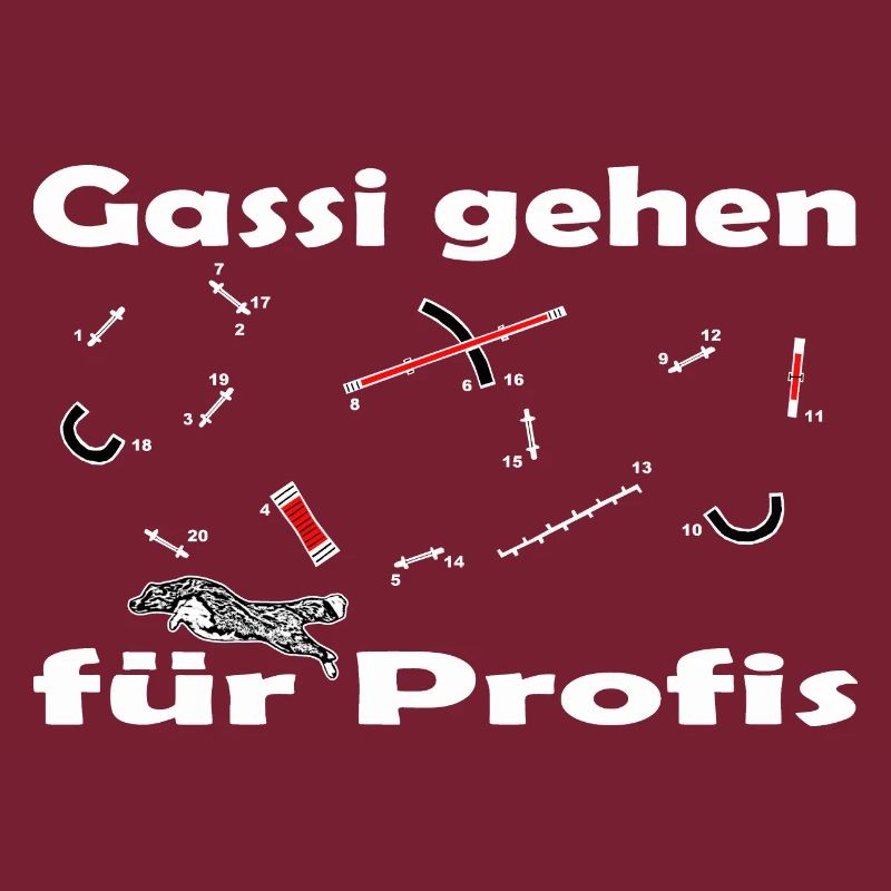 Agility Parcurs