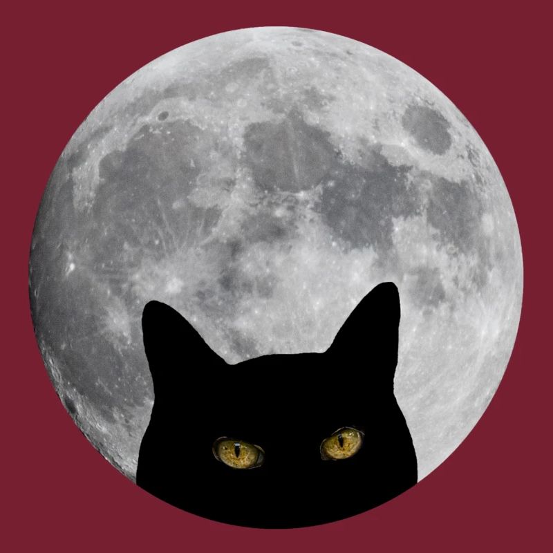 Chat dans la lune